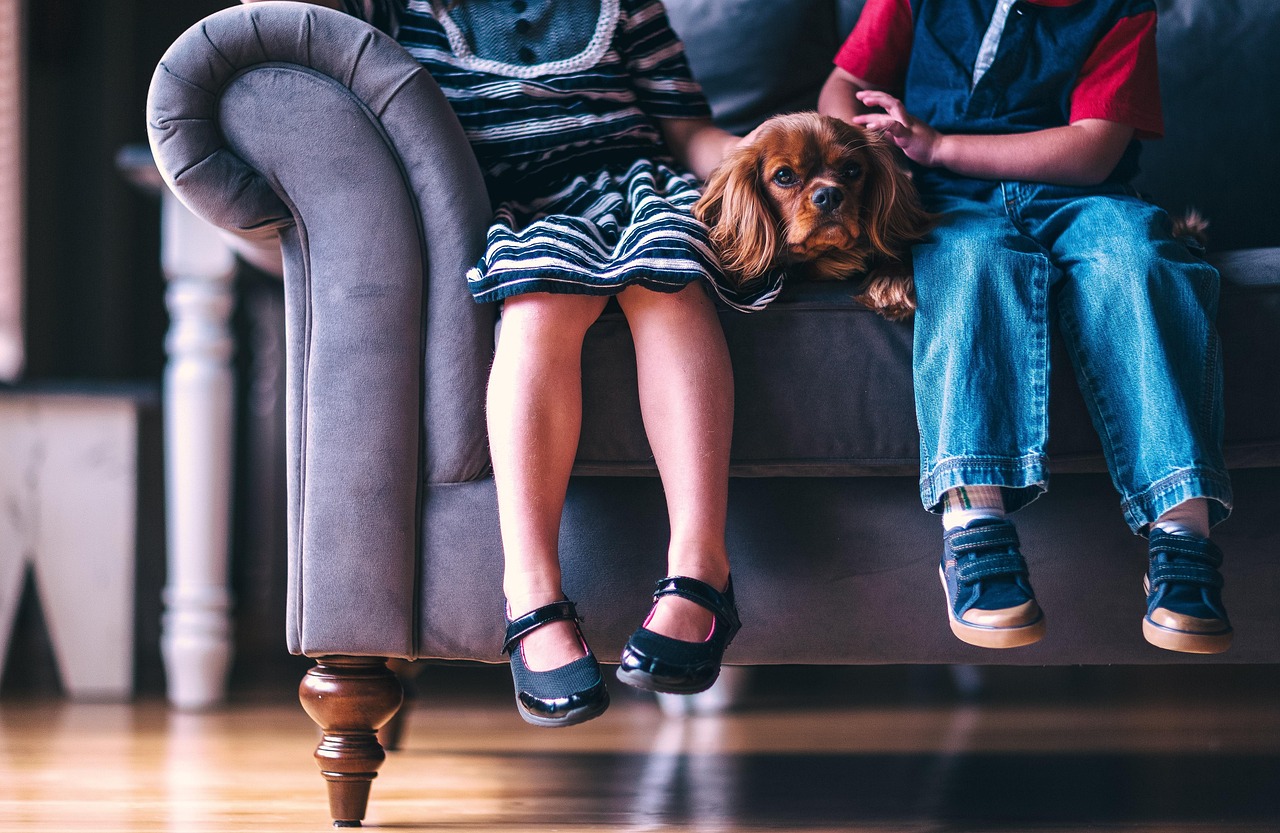 Photo by Pexels children, dog, animal, pet, cute, footwear, girl, boy, kids, people, shoes, sitting, sofa